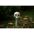 Seasons Crazy Bones Skeleton Arm/Hand Yard Decor W80696